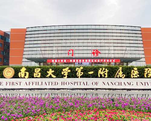 中药调理助孕:黄豆、芡实、茯苓与薏米