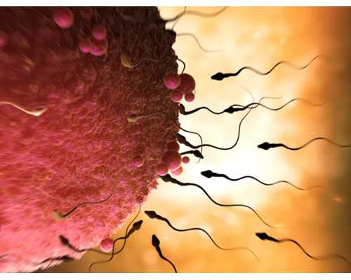 探寻国内优质助孕机构：精准医疗，科学孕育
