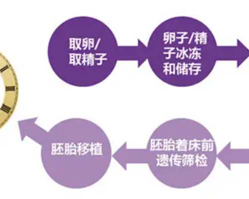 北京代生机构包生男孩 北京协和医院 ‘四维单子图像看男女’