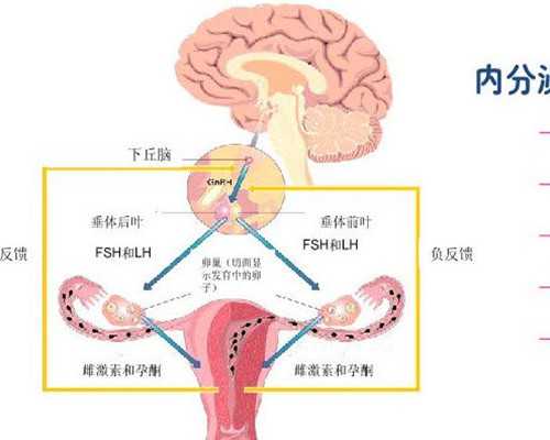北京助孕产子多少钱报销 北京哪家医院可以做*卵试管？(北京*卵试管婴儿医院