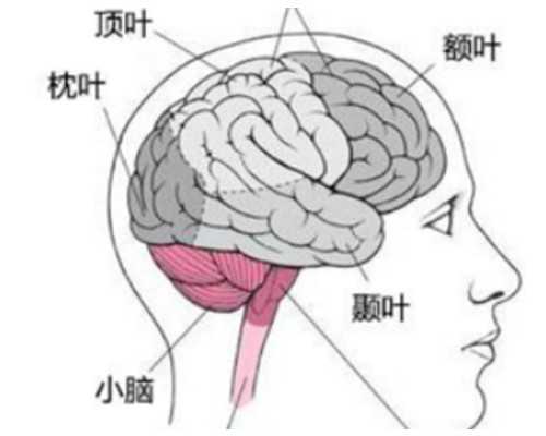 北京可靠的助孕医院有哪些？北京试管婴儿费用解析