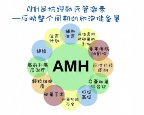 探寻优质孕育支持：北京助孕机构指南及陪产政策解析