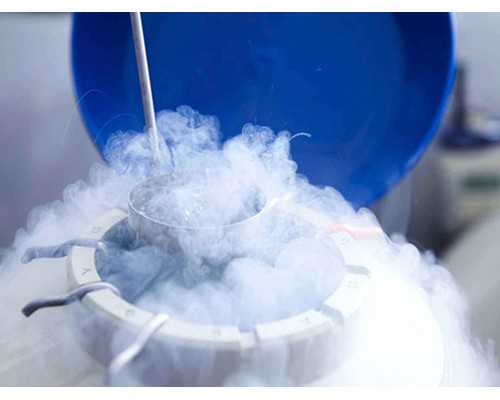 北京试管代生哪家强,北京产假是98天还是128天?