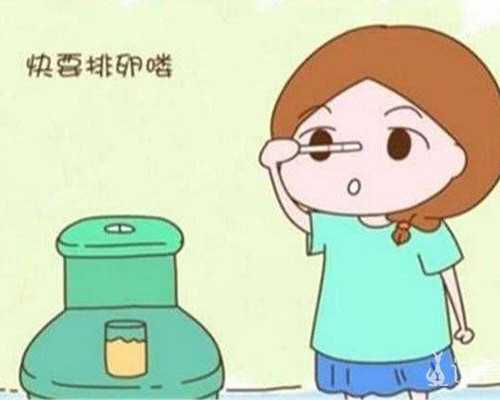 北京助孕机构哪家专业?揭秘泰国供卵试管费用与成功率