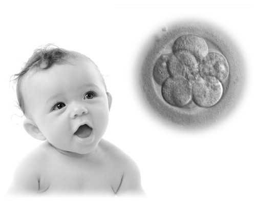 河南试管助孕与辅助生殖：北京三甲医院试管婴儿技术解析