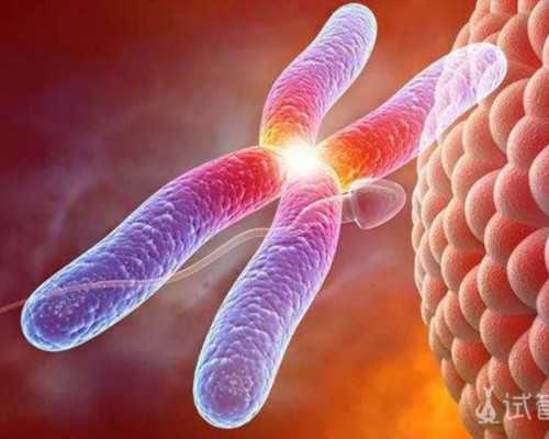 河南试管助孕：高龄生育与供卵自怀成功率解析