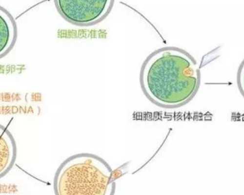 试管助孕技术解读：经验分享与成功因素