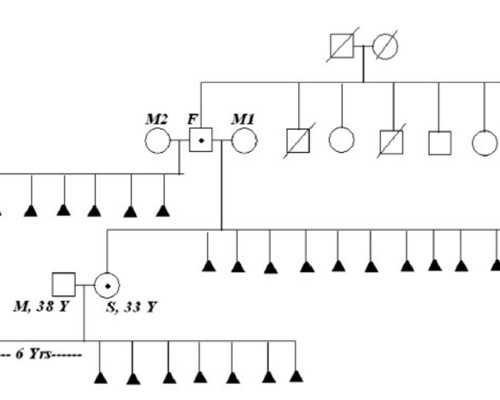 南宁助孕经验分享：寻得经验丰富的不孕老医生