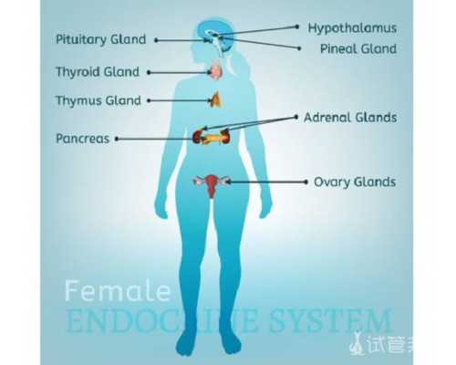 正规助孕公司，确诊子宫沾黏的注意事项