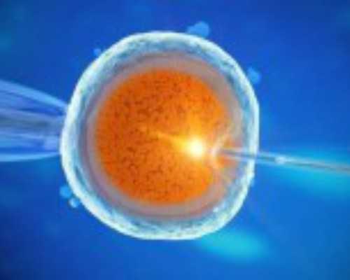 北京人工授精与试管婴儿价格解析,助您了解生育新选择