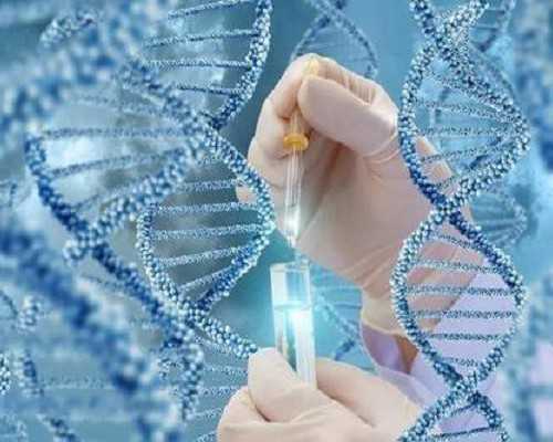 揭秘北京家圆医院辅助生殖技术，成功率预估与助孕咨询