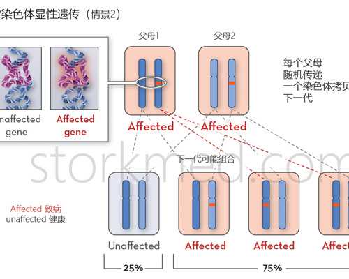 北京借腹生子靠谱吗 北京哪家医院可以做三代试管(北京可以做婴儿试管) ‘双